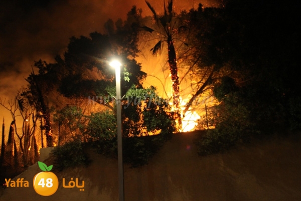 fire minas2 sterer (12).JPG